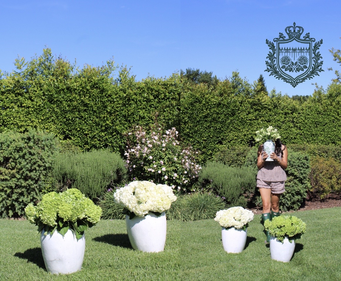 Girl with the Garden Gate — brand activation campaign
